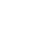 icon-button-white